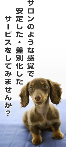 �X�܂̂悤�Ȋ��o�ŁA���肵���E���ʉ������T�[�r�X