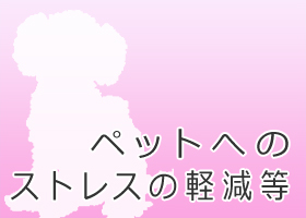 �y�b�g�ւ̃X�g���X�̌y����