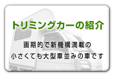 �g���~���O�J�[�̏Љ�