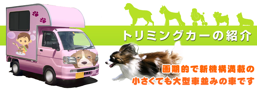 �g���~���O�J�[�̏Љ�